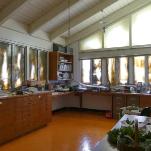 Old Herbarium, now Education Center, repainting, Director of Education’s office with windows masked