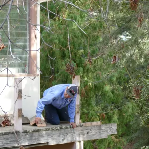 Library structural repair work, east side decking