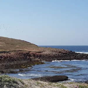 Santa Cruz Island Trip, Fraser Point