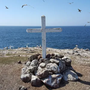 Santa Cruz Island Trip, Fraser Point