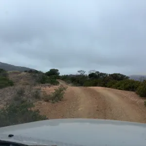 Santa Cruz Island Trip, driving along ridge