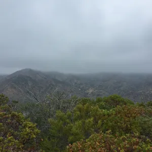 Santa Cruz Island Trip, driving along ridge