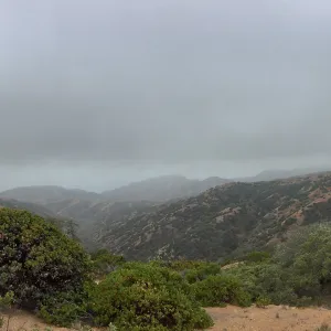 Santa Cruz Island Trip
