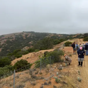 Santa Cruz Island Trip, group