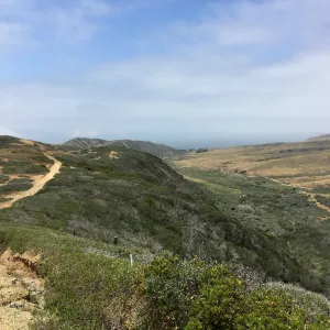 Santa Cruz Island Trip