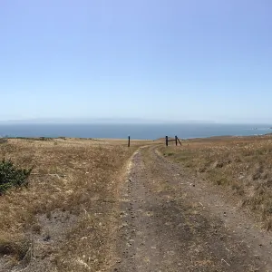 Santa Cruz Island Trip, group explores grasslands