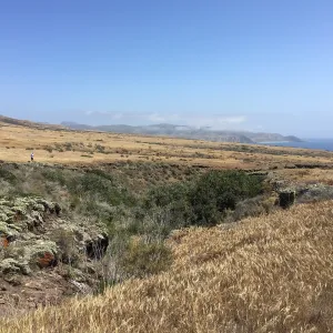 Santa Cruz Island Trip, group explores grasslands