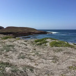 Santa Cruz Island Trip, Fraser Point