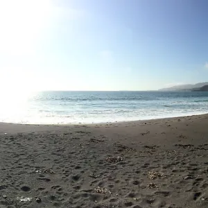 Santa Cruz Island Trip, Group explores Christy Beach