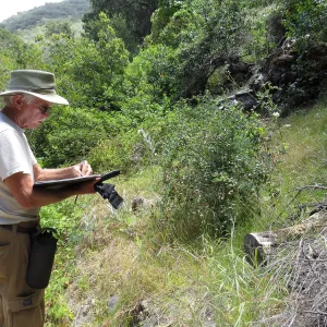 Santa Cruz Island Trip, Steve Junak documenting plant species