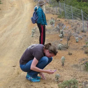 Santa Cruz Island Trip, (from back to front) Diana Blanchard and Kate Davis