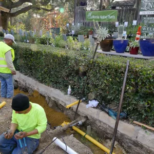 Courtyard renovation, rerouting piping, middle west edge at northern of 2 crossings