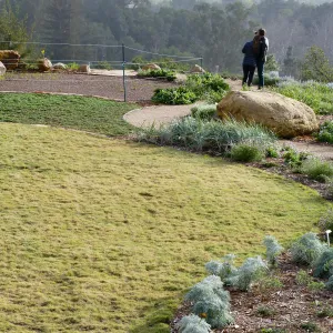 Visitors in Island View Garden