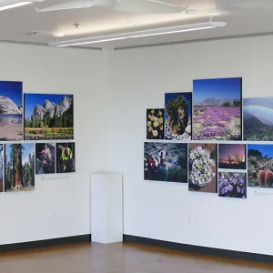 Pritzlaff Conservation Center Exhibit Room, Bob Haller Plants of California Photography Exhibit, panoramic view of west and north walls