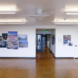 Pritzlaff Conservation Center Exhibit Room, Bob Haller Plants of California Photography Exhibit, north wall