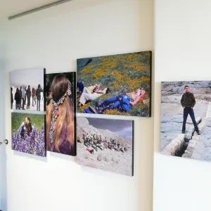 Pritzlaff Conservation Center Exhibit Room, Bob Haller Plants of California Photography Exhibit, entry hall east wall