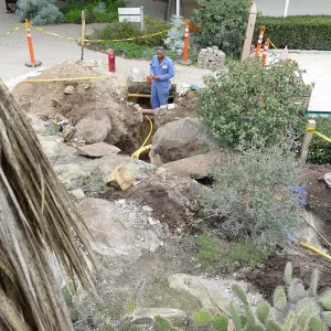 Gas line rerouting in Courtyard and Garden Growers Nursery, view from southwest corner of Desert Section, looking east