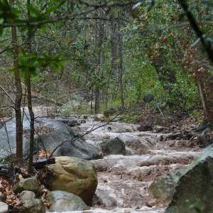 Mission Creek during rainstorm, just above lower crossing