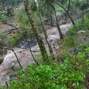 Mission Creek during rainstorm, just above lower crossing