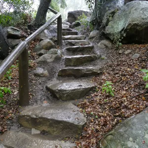Steps into Canyon from Manzanita Section in the rain