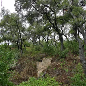 Footbridge on Pritchett Trail during rainstorm