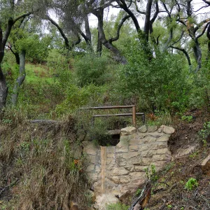 Footbridge on Pritchett Trail during rainstorm