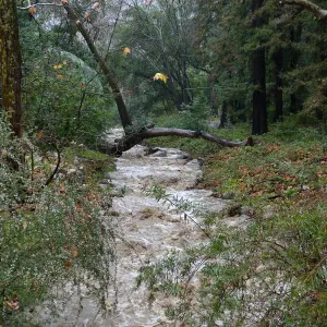 Mission Creek above dam during rainstorm