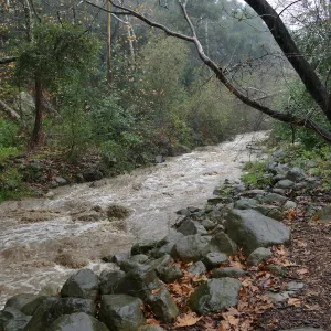 Mission Creek above Redwood Section during rainstorm