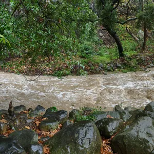 Mission Creek above Redwood Section during rainstorm