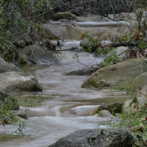 Mission Creek above Redwood Section