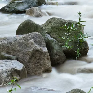 Mission Creek above Redwood Section
