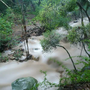 Mission Creek above lower crossing during rainstorm