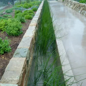 Bioswale at the Pritzlaff Conservation Center filtering runoff during a rainstorm