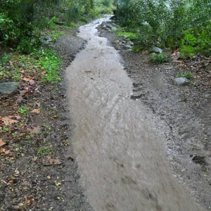 Stormwater flowing past Lassiter Boulder down Canyon Trail