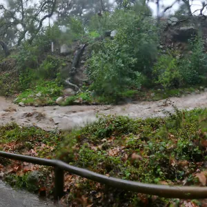 Panorama of Mission Creek flowing past Redwood Section during rainstorm
