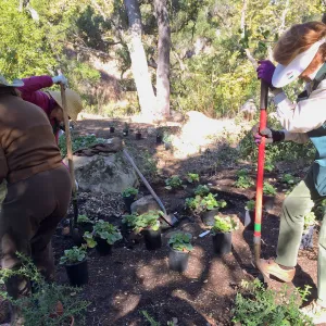 Volunteers helping with installation of the Wooded Dell