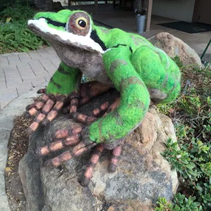 Dormant Dreams Yarn Blast, Fred - the Pacific Chorus Frog at Garden Shop