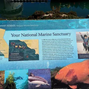 Interpretive sign at Channel Islands National Marine Sanctuary