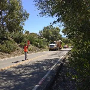 Delivery of Island Oaks at Prtizlaff Conservation Center