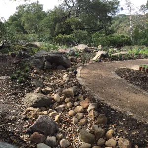 First plantings at Water Wise Home Garden