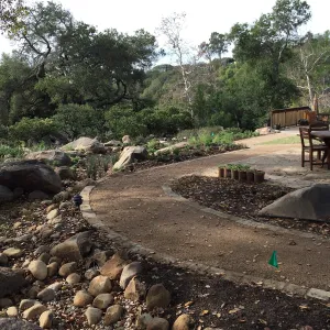 First plantings at Water Wise Home Garden
