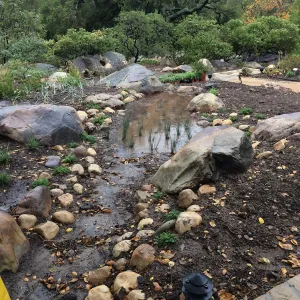 Water Wise Home Demonstration Garden during installation. Bioswale