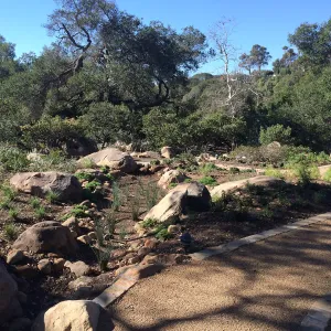 Eco-Pave paths and vegetative swale at the Water Wise Home Garden