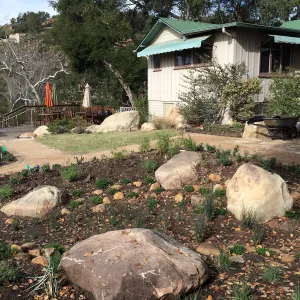 First plantings at Water Wise Home Garden