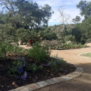 Initial planting at Water Wise Home Garden