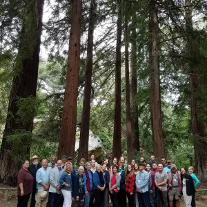 Staff portrait in the Redwood Section (Coast Redwood)