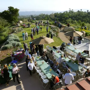 Members Picnic 2017