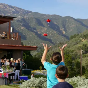 Members Picnic 2017, games