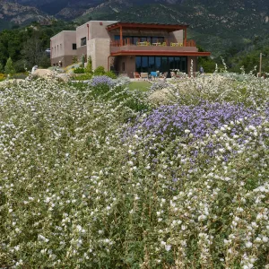 Pritzlaff Conservation Center and Island View Garden