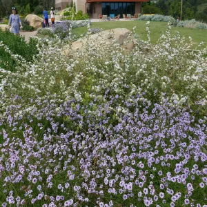 Pritzlaff Conservation Center and Island View Garden